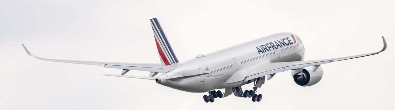 Vogelschlag bringt A350 einen Monat später in Mayday-Notlage