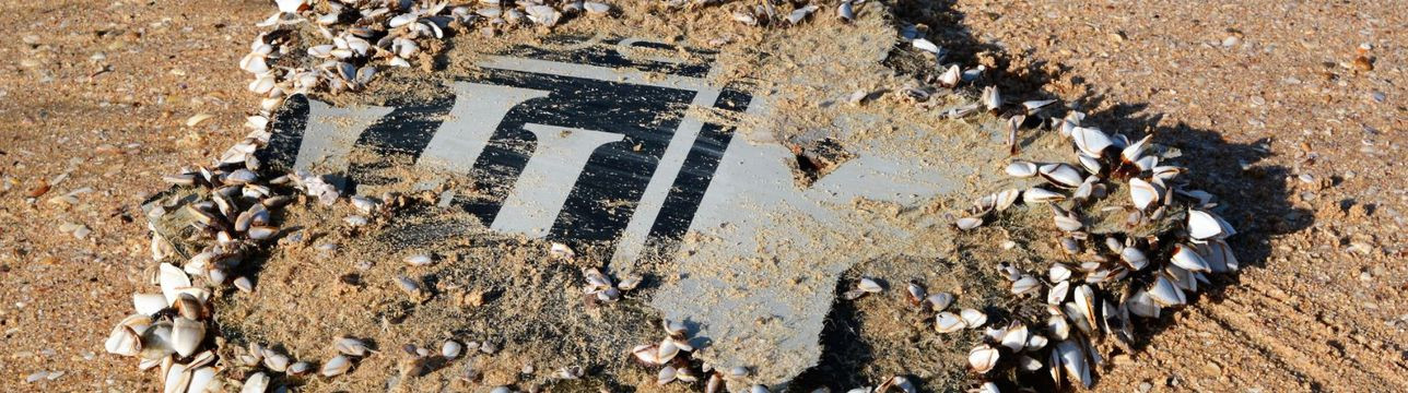 Bringt neue Suche endlich Antworten?