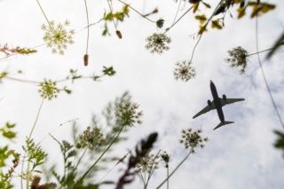 Die Luftfahrt soll klimafreundlicher werden