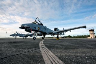 US Air Force A-10