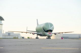 Airbus Beluga XL