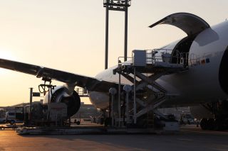 Lufthansa Cargo in Frankfurt