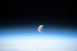 Mond