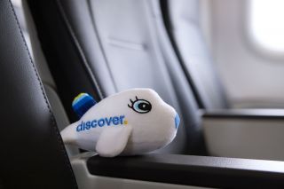 Discover Airlines