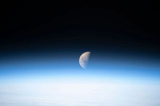 Mond